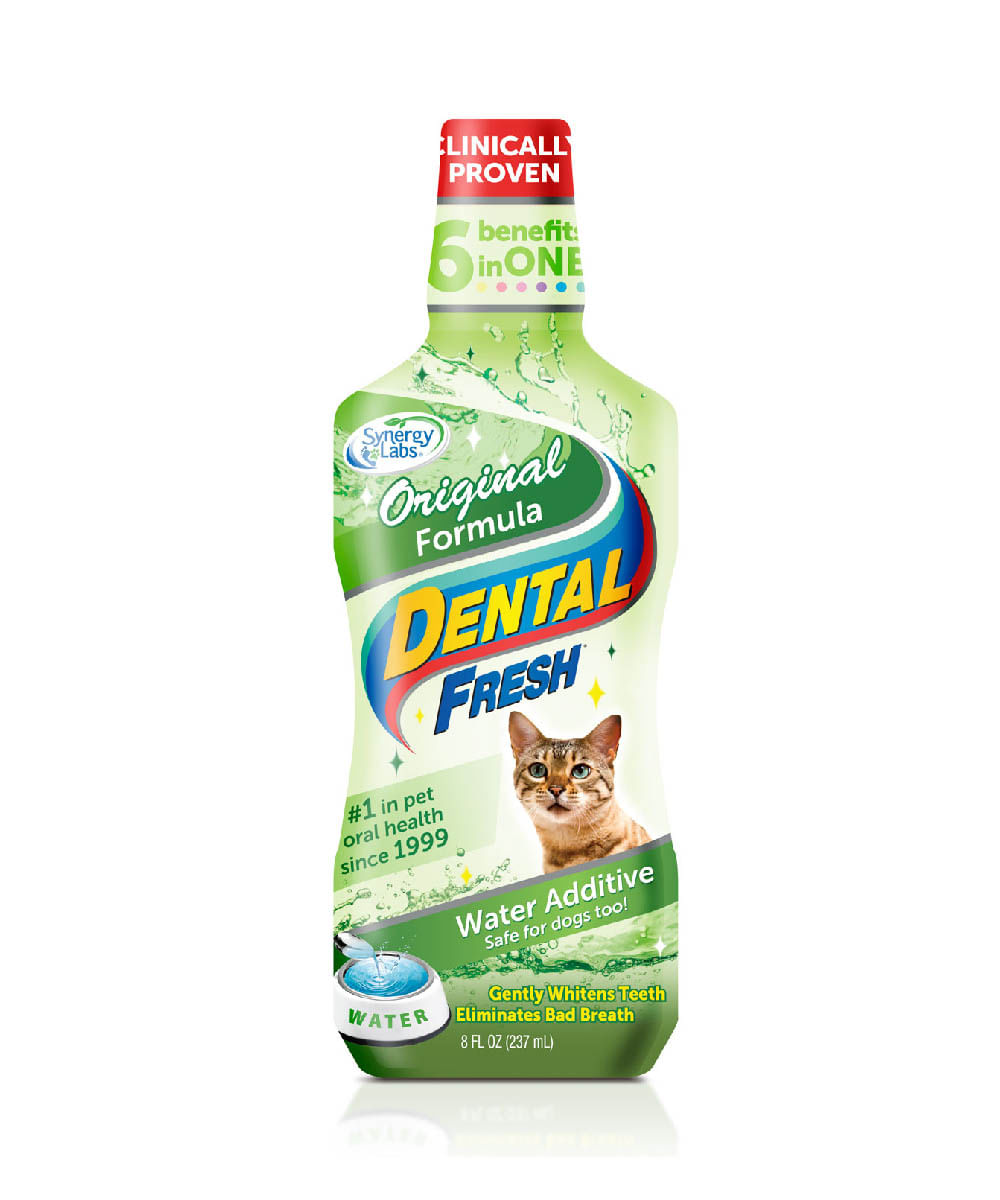 ▷ Higiene y aseo, Aseo para Gatos, Perros, Fruit for Pets Fregasuelo  Insecticida 1L • Allinpet