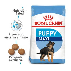 Alimento para perro - Royal Canin Maxi Puppy