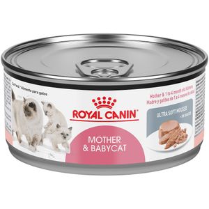 Alimento Para Gato -  Royal Canin  Mother And Baby Cat