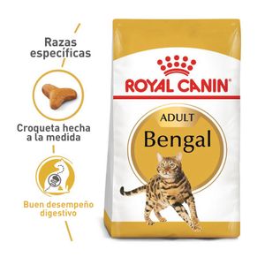 Alimento Para Gato - Royal Canin Bengal Adult